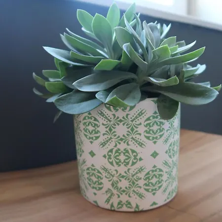 Boutique * Ostseebad Kühlungsborn